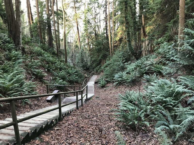There are a lot of stairs, but it is a well built trail.