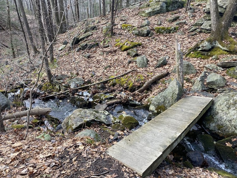 Foot bridge along the path