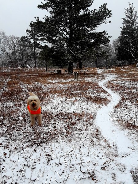 In the Quaker cemetery.