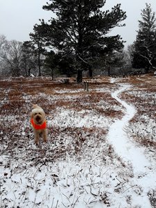 In the Quaker cemetery.