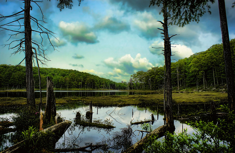 Mud Lake, first body of water hiking north on the LPT from Northville