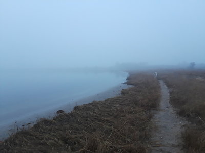 On the bay side of the point in heavy fog
