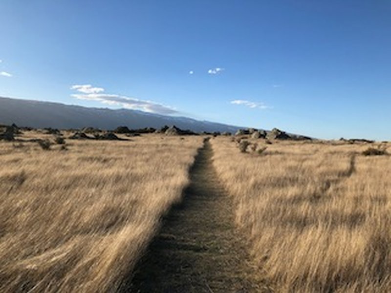 Lovely trail underfoot - Sutton Salt lake