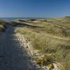 Hiking around Great Island in Wellfleet, MA