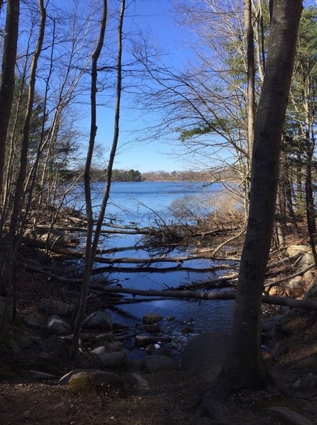 Looking out at Goose Cove Reservoir.