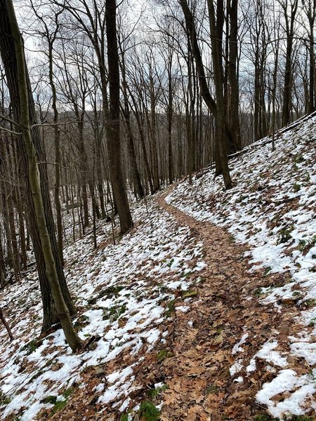 Narrow trail, beautiful hike