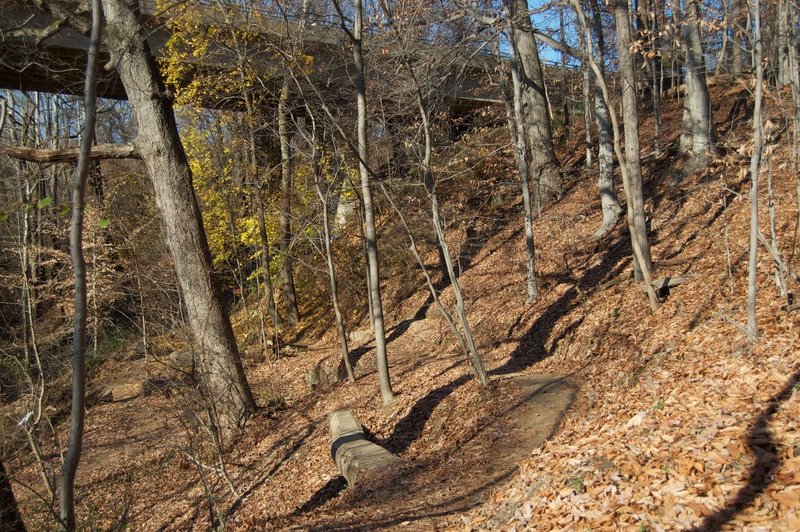 The Wissahickon trails.