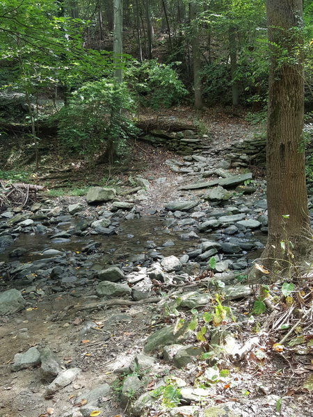Cresheim Creek.