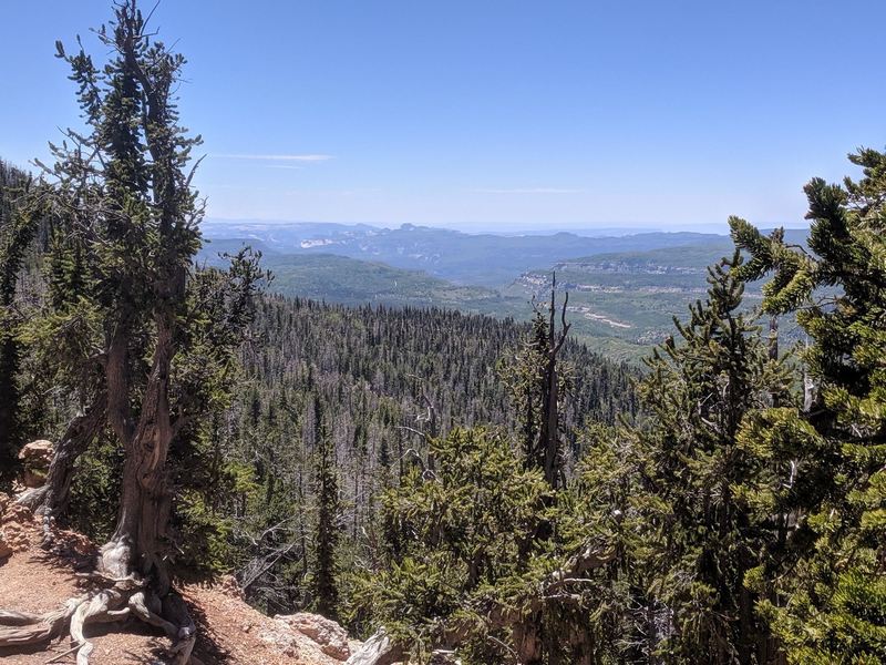 The view from the end of the trail, overlooking the upper end of Zion National Park