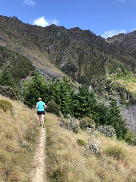 Beneath the S ridge of Ben Lomond