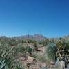 Looking SW on the trail