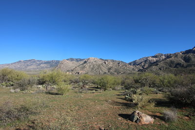 Catalina Mountains from the Nature Loop Trail in January after a rainy December