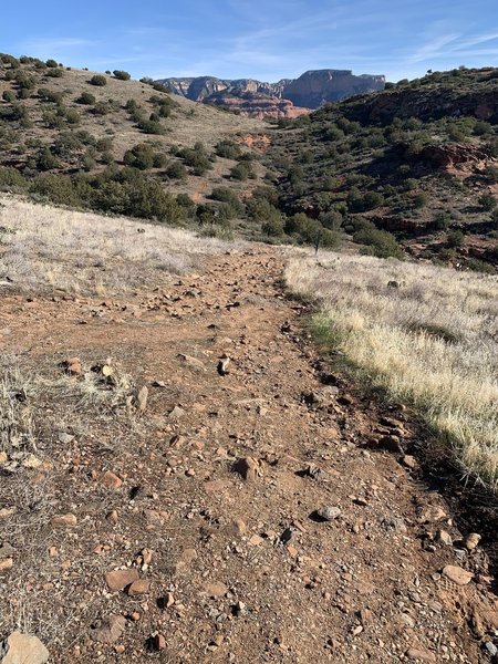 Here's the view of the trail form the trailhead
