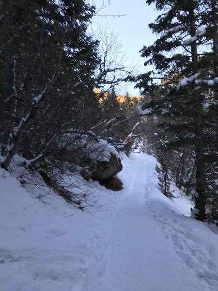 Pack trail, no snowshoes requires, some a no I