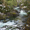 A selection of the rapids/cascades along Santiam River