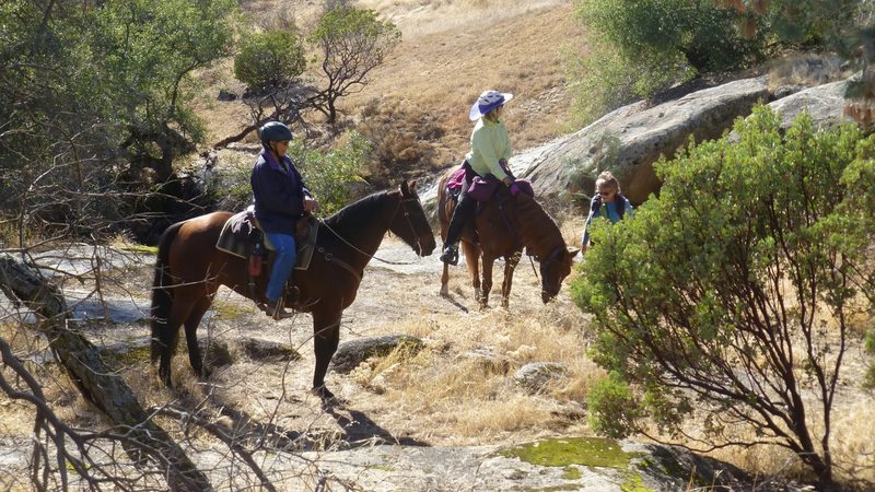 Horseback riding is welcome on all our trails!