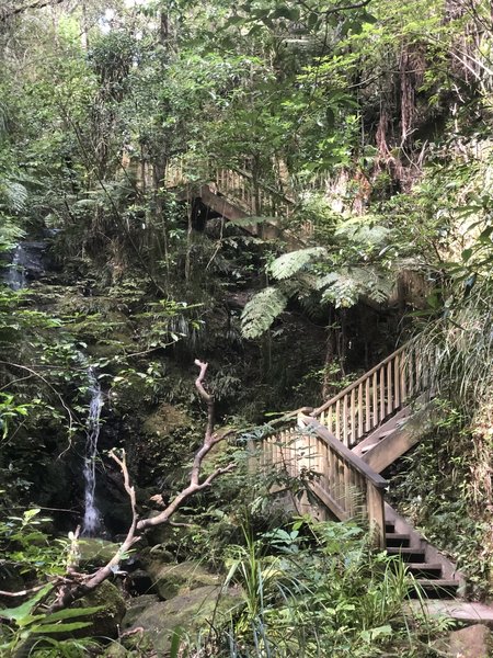 Ross track, the climbing begins!