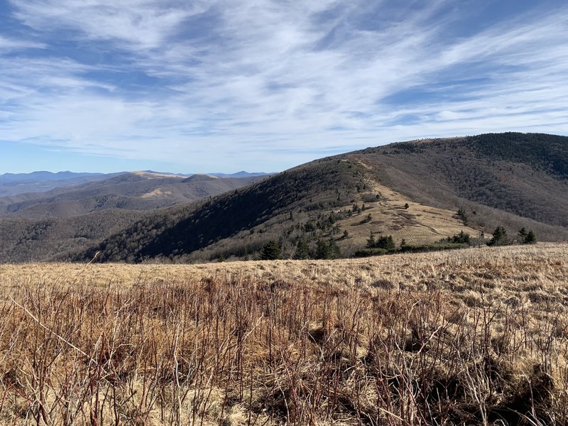 A view of Grassy Ridge Bald from Jane Bald on the AT.