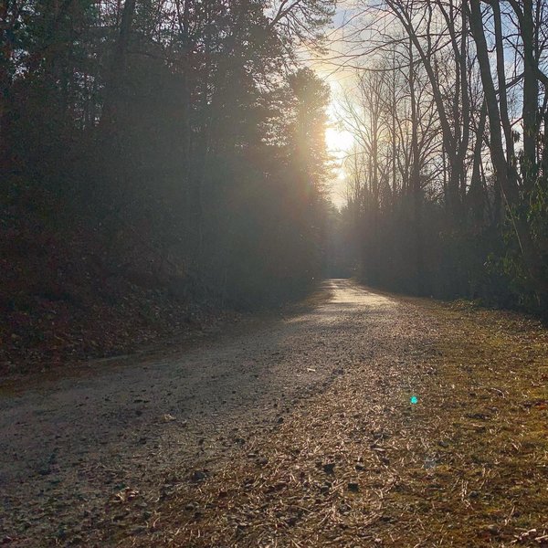 Bent Creek Experimental Forest Hard Times Road