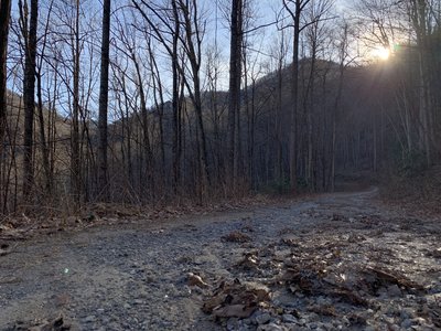 Middle Prong Wilderness near the Blue Ridge Parkway
