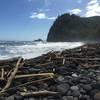 Pololu Beach