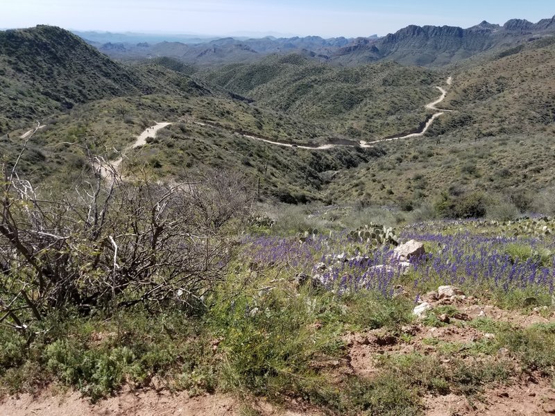 South towards Pleasant from near Oro Bell, mile 27 from boat ramp, road below.