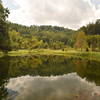 Picturesque views of Rhododendron Lake.