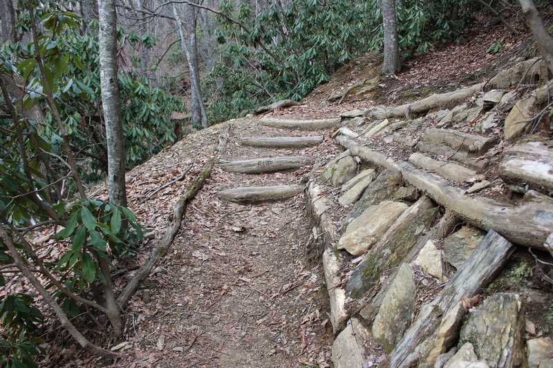 There is a significant climb as you enter the preserve, with lots of locust log stairs.