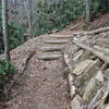 There is a significant climb as you enter the preserve, with lots of locust log stairs.