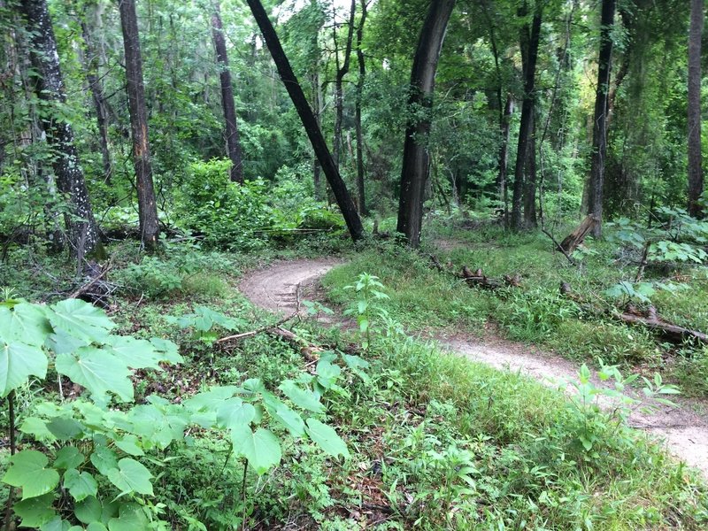 Switchbacks on the eastern part of Tung Nut