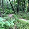 Switchbacks on the eastern part of Tung Nut