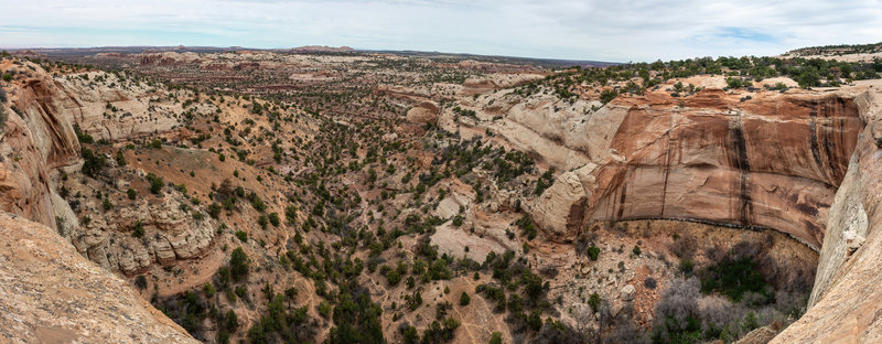 View of the Neck Spring alcove and Taylor Canyon from the Neck Spring Trail