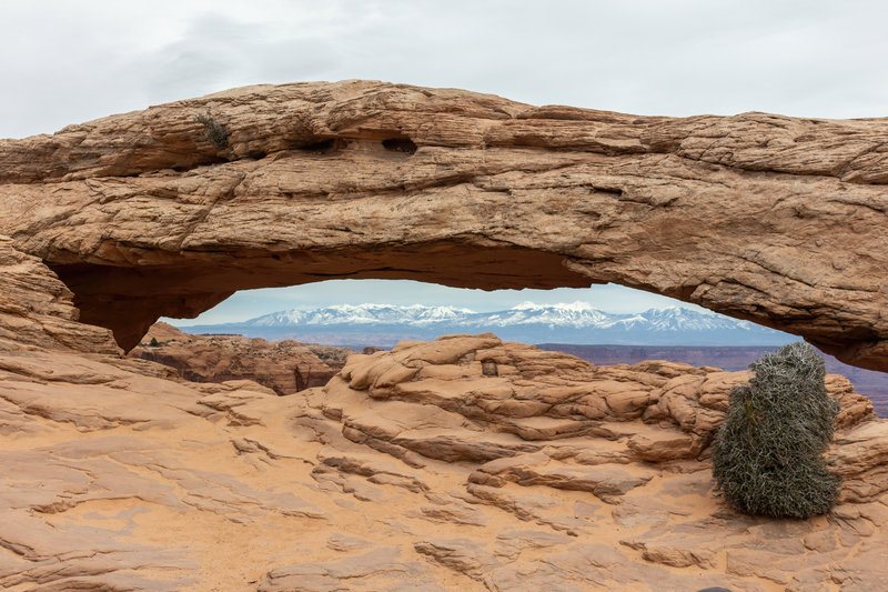 La Sal Mountains through Mesa Arch