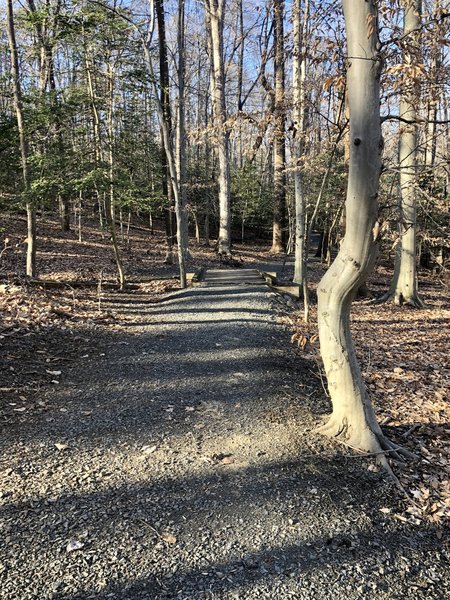 Well maintained crushed rock trail is great after a rain.