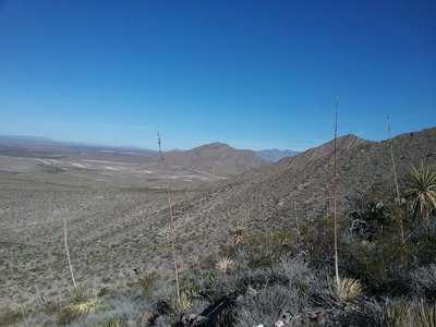 Looking north on the trail.