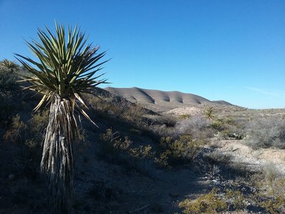 Looking west from the trail