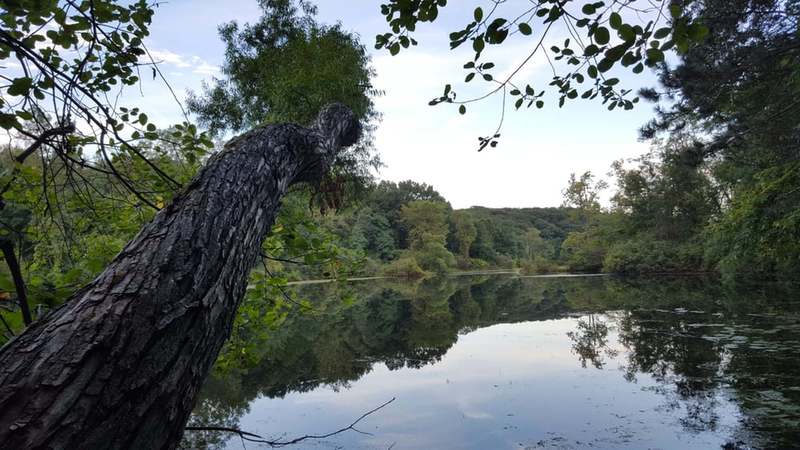 The lakeshore views are beautiful around Wildwood and Valley Lakes