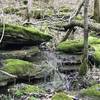 Natural spring waterfall