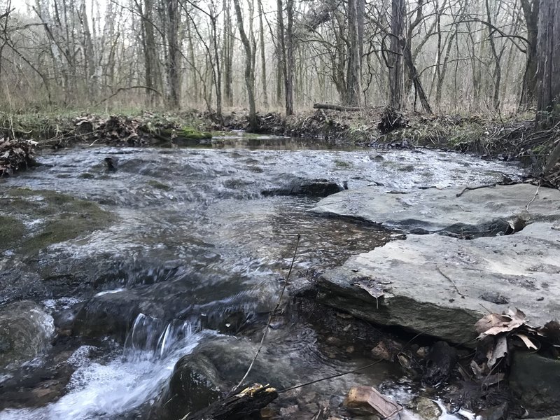 Peaceful rockbed section of the Gray Creek