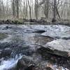 Peaceful rockbed section of the Gray Creek