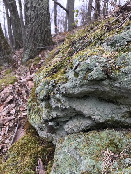 Coated rock