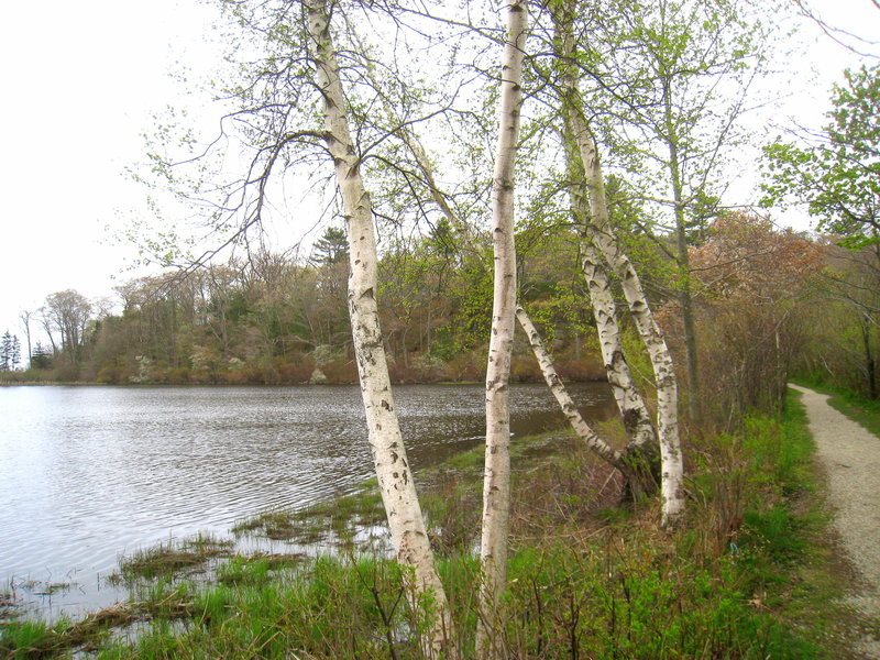 Coolidge Reservation