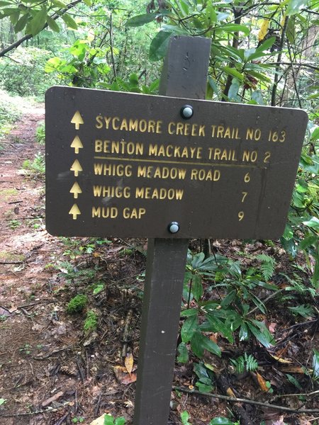 Trail sign at Sycamore Creek Trail