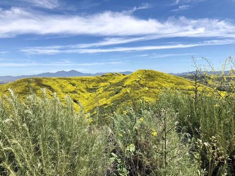 Backcountry Socal.