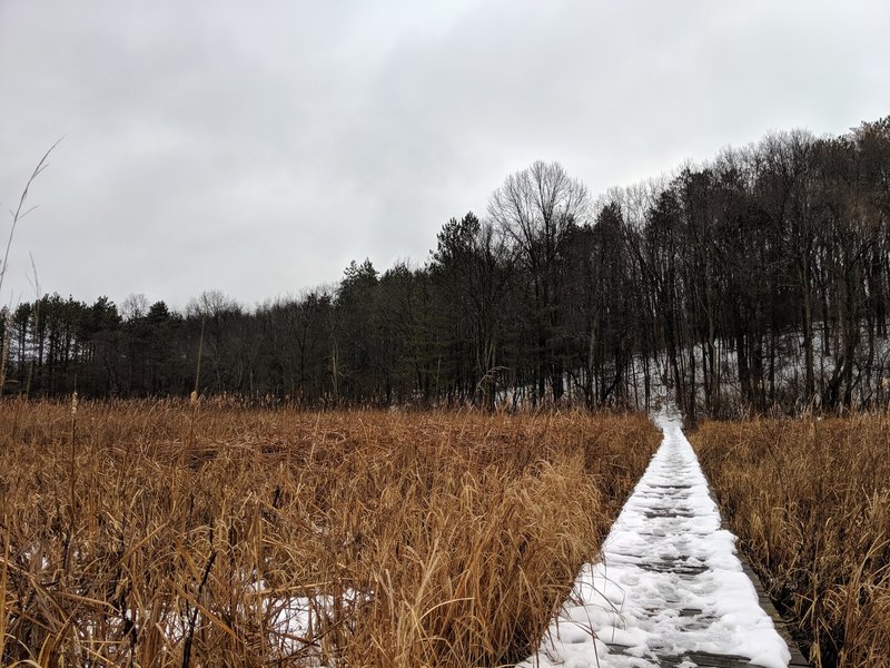 The trail exits the woods and out into the open, over a long, wooden bridge that is slanted in areas and a bit slick when it rains or snows