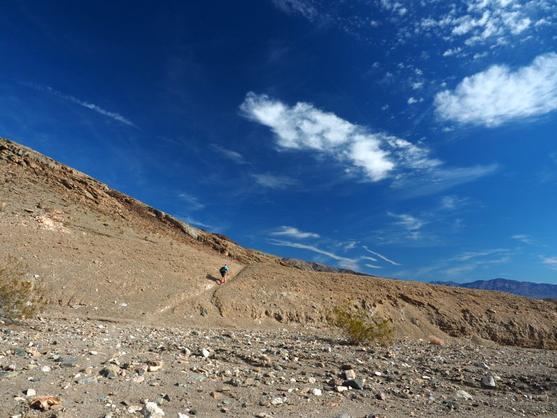 Along the use trail close to the parking lot