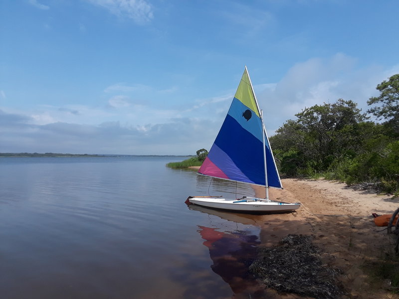 A Sunfish on Ninigret pond