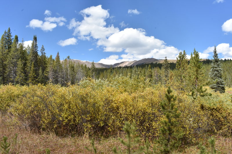 The view from the trailhead. Off the left, Homestake Peak is just out of view behind the trees, while Slide Lake lies in the deep pocket of this basin.