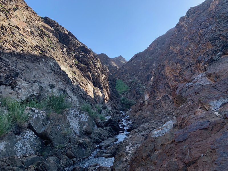 A view of the water-filled stream bed