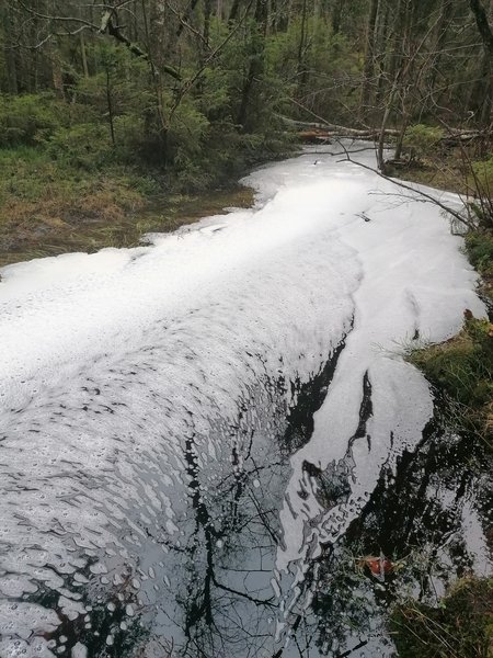 Side track of the lake